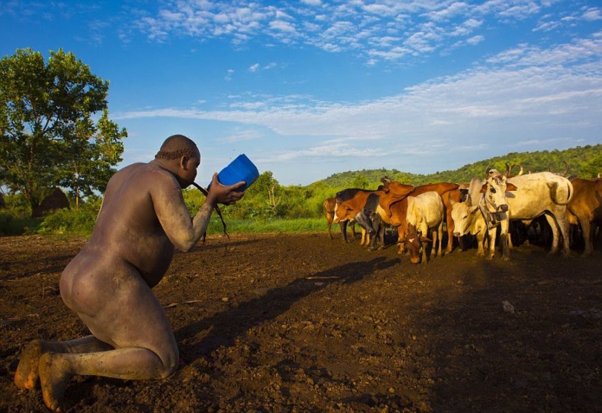 The Bodi Tribe In Ethiopia Where Men Drink Blood And Milk