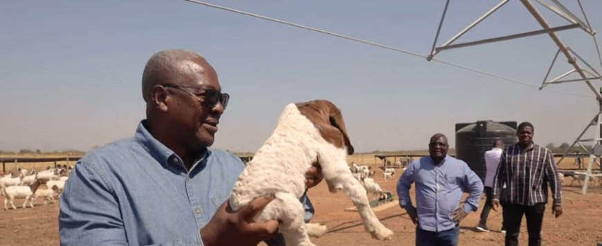 I Will Go Into Full-Time Farming When I Retire From Politics - John Mahama