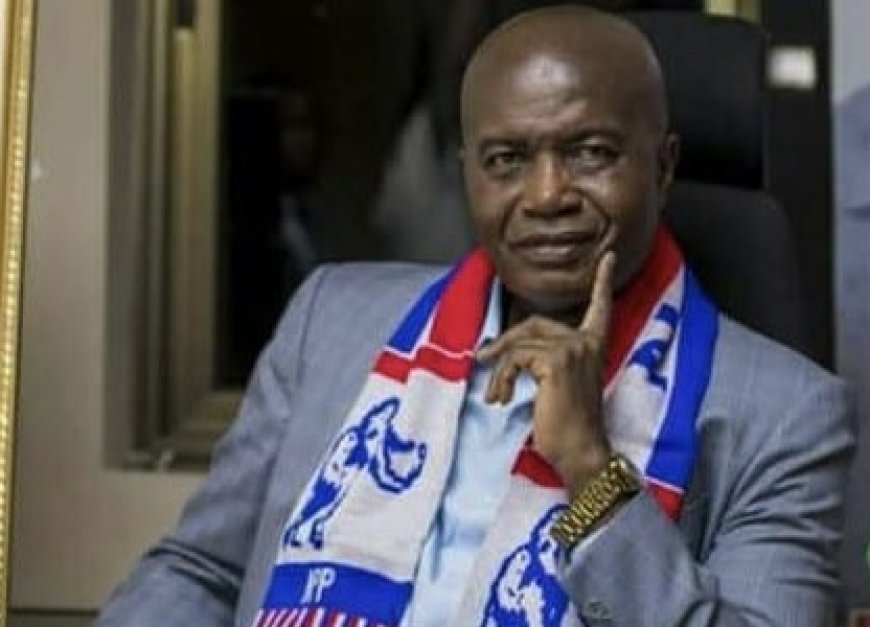 NPP Sets Up Election Committee To Investigate 2024 Election Defeat