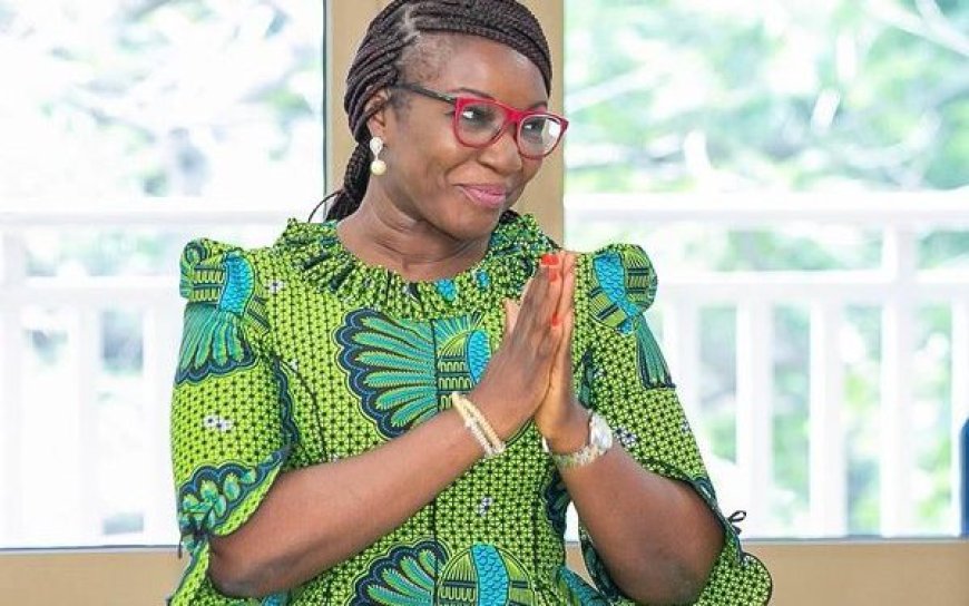 John Mahama’s Appointees Ready To Tackle High National Expectations - Joyce Bawah