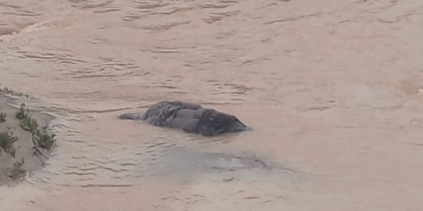 Man Found Dead In Stream After Heavy Rains At Oforikrom