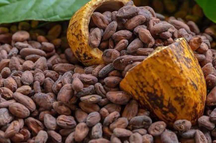 Diverting Bank Reserves To COCOBOD Risks Monetary Stability - Atuahene