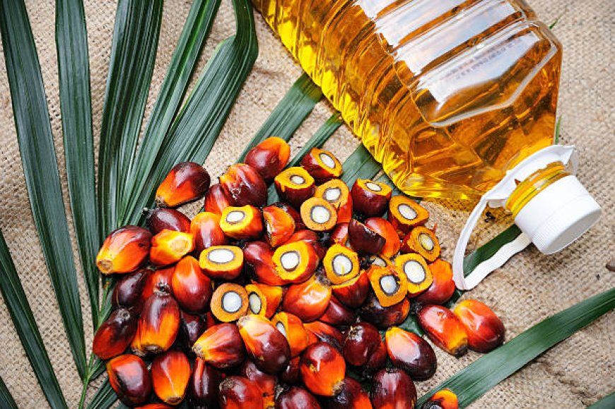 TCDA Introduces Permit Pegime For Palm Oil Imports