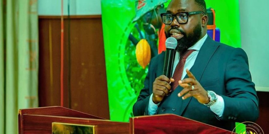 Government To Ban Raw Shea Nut Exports By 2026