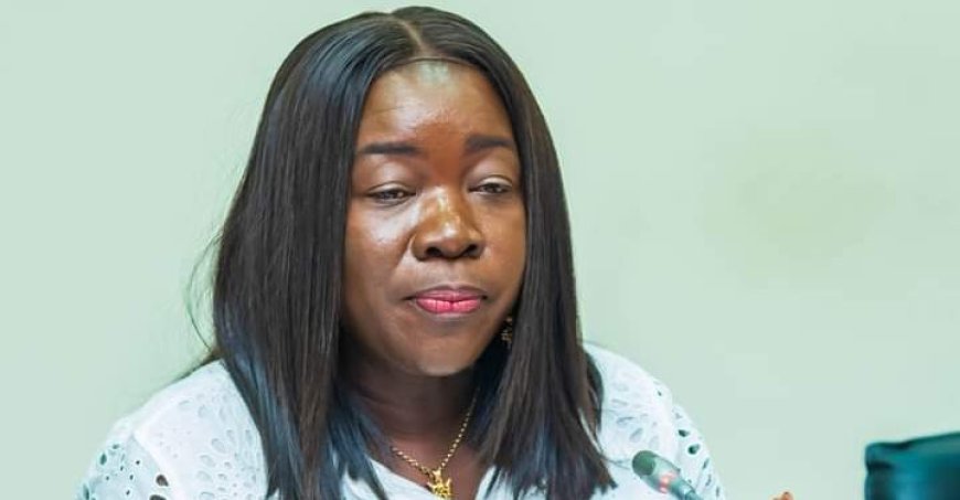 GH₵38 Million Needed To Operationalise Walewale Watermelon Factory - Trade Minister