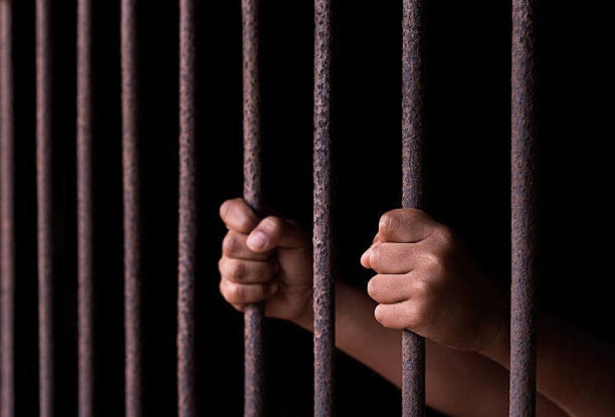 Filmmaker Who Threatened To Kill Police Officers In Viral Video Remanded