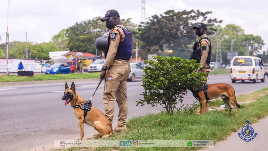We're Depending On Sniffer Dogs To Detect Narcotics At Airports Due To Broken-Down Scanners - Minister