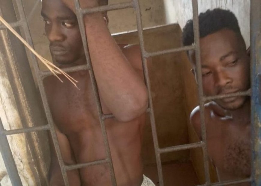 Two Thieves Jailed 20 Years For Cable Theft
