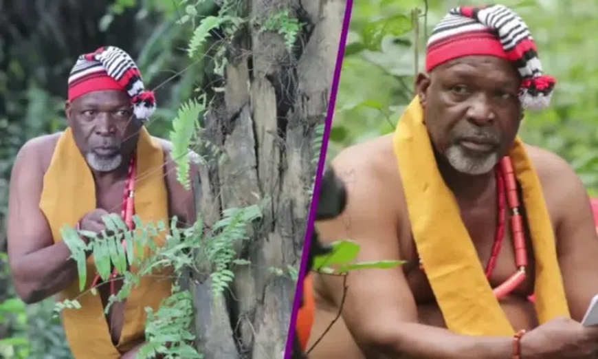Nollywood Actor Tom Njemanze Dies From Prostate Cancer