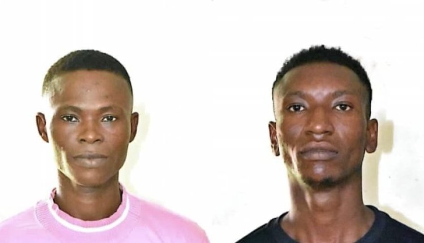Two Persons Jailed 5 Years With Hard Labour For Theft In Upper West