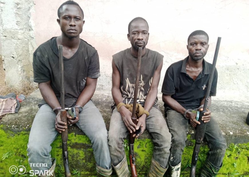 Three Persons Arrested For Hunting Wildlife In Ankasa Conservation Area