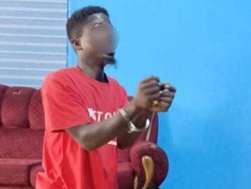 Police Arrest 23 Year Old Man With 66 Parcels Of Suspected Narcotics In Tarkwa