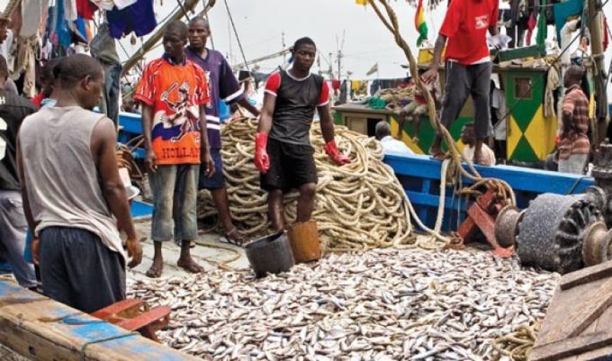 Ghana’s Fish Stock Depleting
