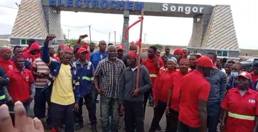 Electrochem Ghana Workers Protest Over Unfair Terminations
