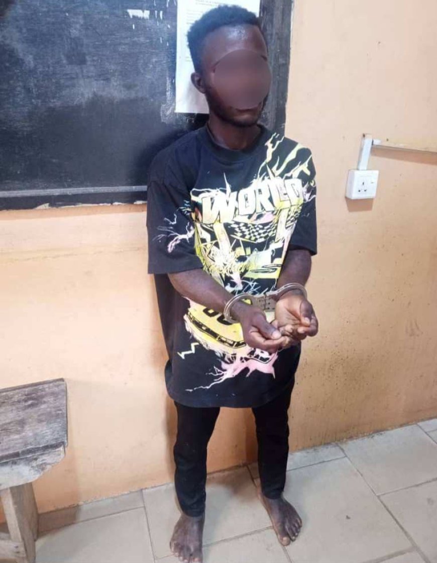 Man Arrested For Killing Brother At Kwesimintim