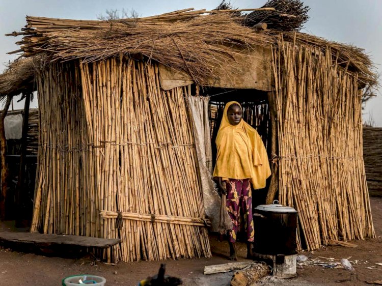 Boko Haram: Nigerian troops rescue 54 women and children held captive by terror group