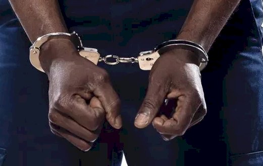 Two Nigerians arrested for allegedly stealing adult pampers worth N20m