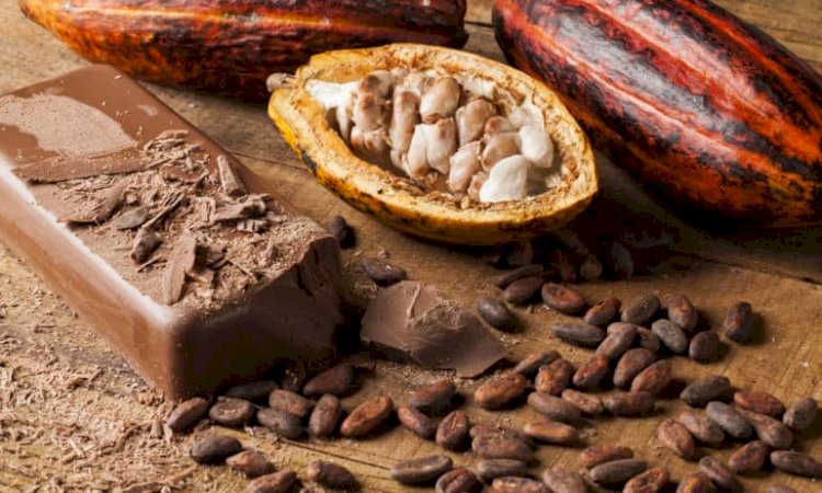 Cocobod receives US$600 million loan to boost cocoa production