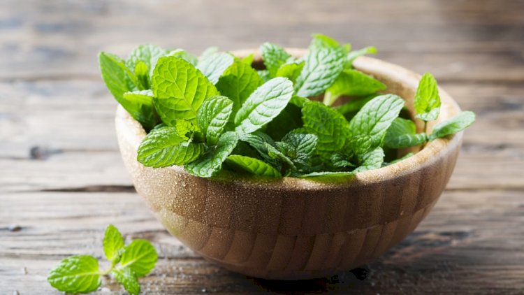 This is how mint leaves can help you maintain a clear and glowing skin