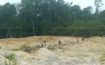 E/R: 31 Foreign Illegal Miners Arrested