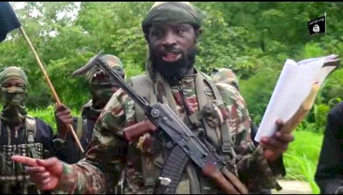 Military kills three Boko Haram members scouting for food in Borno