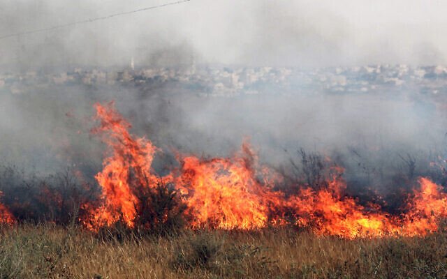 13 Pakistanis killed in Jordan farming village fire