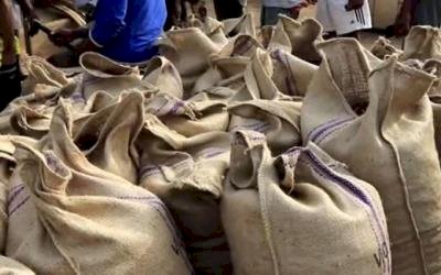 Police Intercept Smuggled 51 Bags Of Cocoa