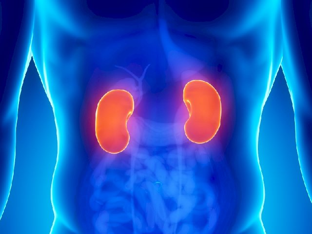 Kidney failure tops Korle Bu's top ten killers