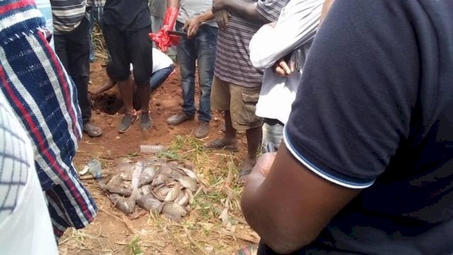 Stay away from 'poisoned Tano River - NADMO warns