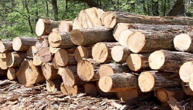 Make Rosewood C’ttee report public – Apaak