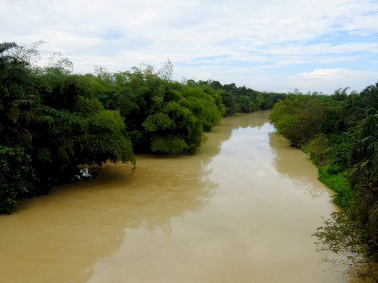 Galamsey: Water turbidity in parts of Ashanti around 6000ph – GWCL