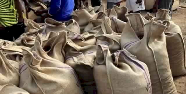 Customs intercepts smuggled cocoa beans