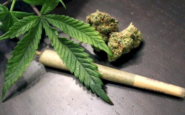 Cannabis legalised for health and industrial purposes in Ghana