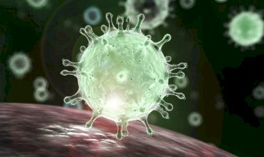 US-China spar over coronavirus origin