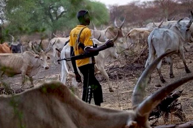 Two men beheaded by herdsmen in fresh Benue attack