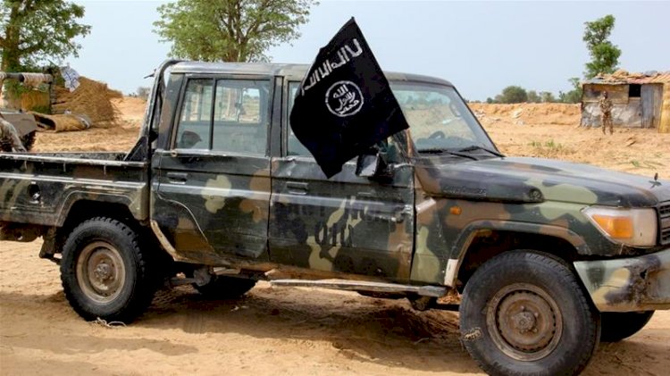 Dozens of Boko Haram, ISWAP fighters killed in Nigeria