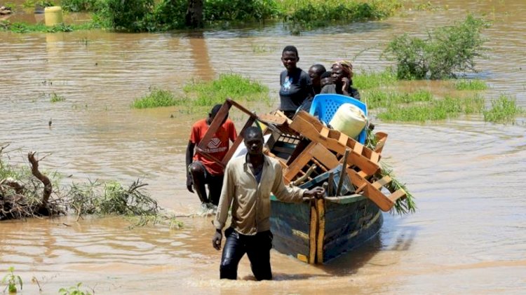 Kenya floods kill 194 people, displace tens of thousands