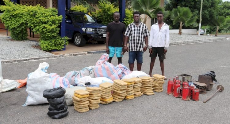 Three Arrested Over Indian Hemp