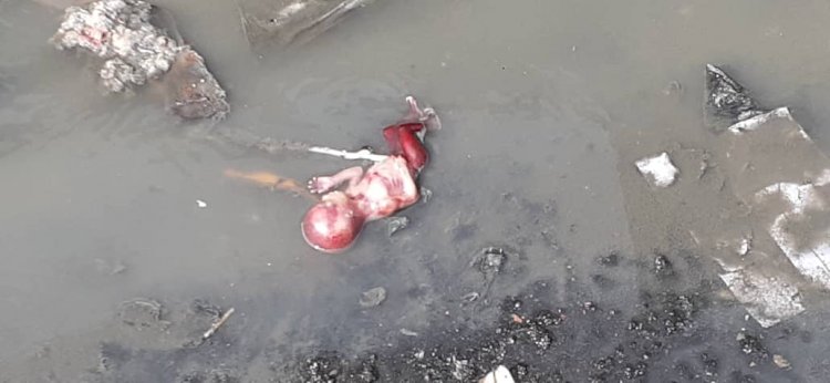 Eight month old foetus dumped in gutter at Abeka