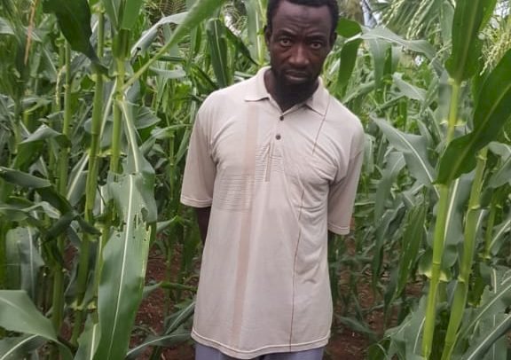 Man Defiles 8 Year Old In Maize Farm