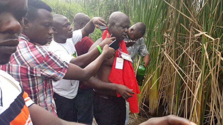 NPP suspends six polling station executives over curses