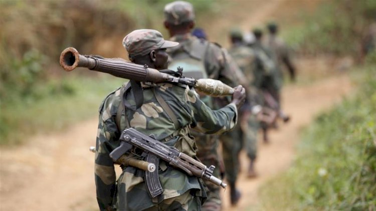 Attacks by armed group in DRC killed almost 800 in 18 months - UN