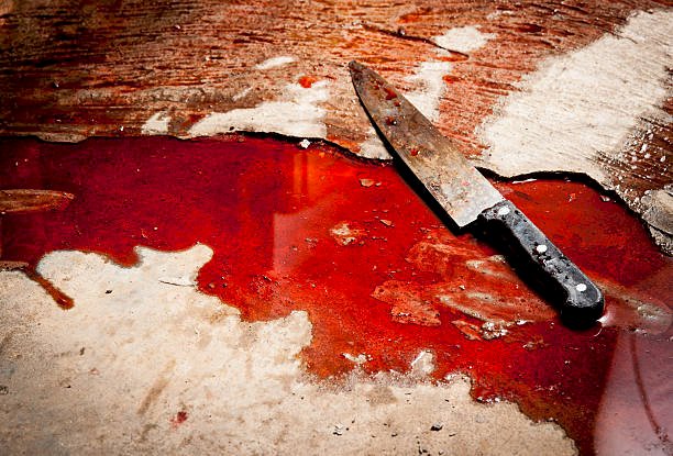 10 year old girl murdered, genital organs removed