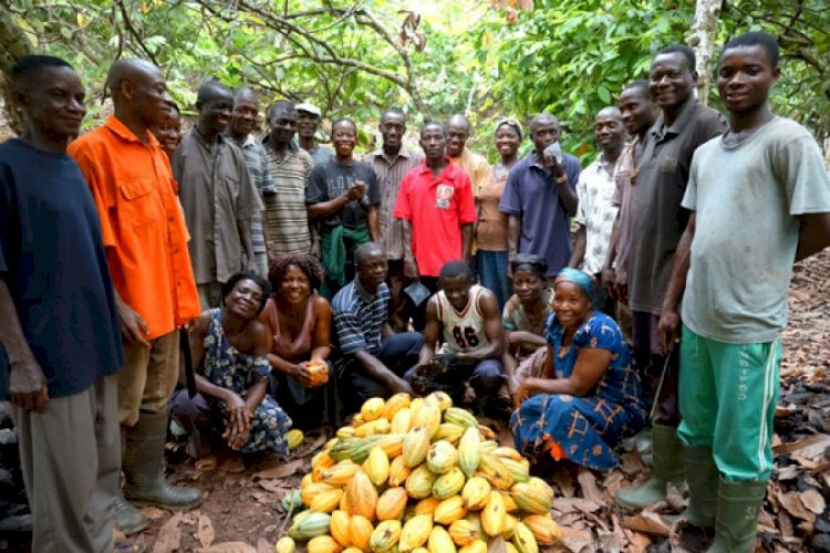 Organic Crop Farmers Call For Improved Standards In The Agriculture