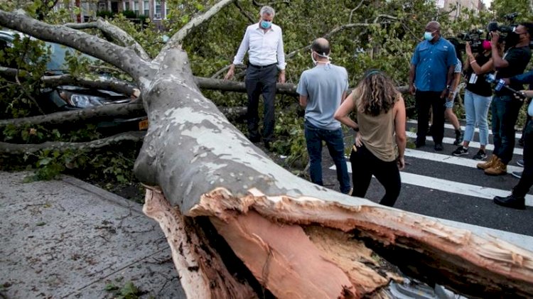 Storm Isaias Kills Eight, Cuts Power To Millions In US