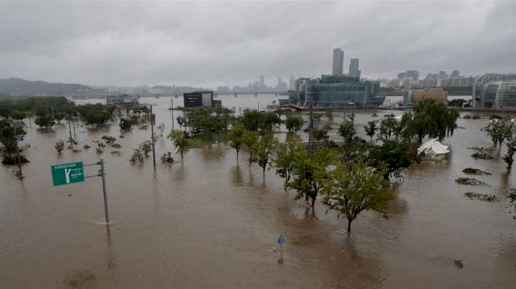 Floods, Landslides Kill Dozens, Displace Thousands In South  Korea