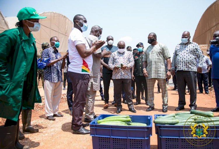 Akufo Addo Commissions 75 Greenhouses And Innovation Centre
