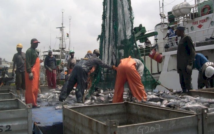 NPP Executives Are Selling Outboard Motors to Us - Fishermen