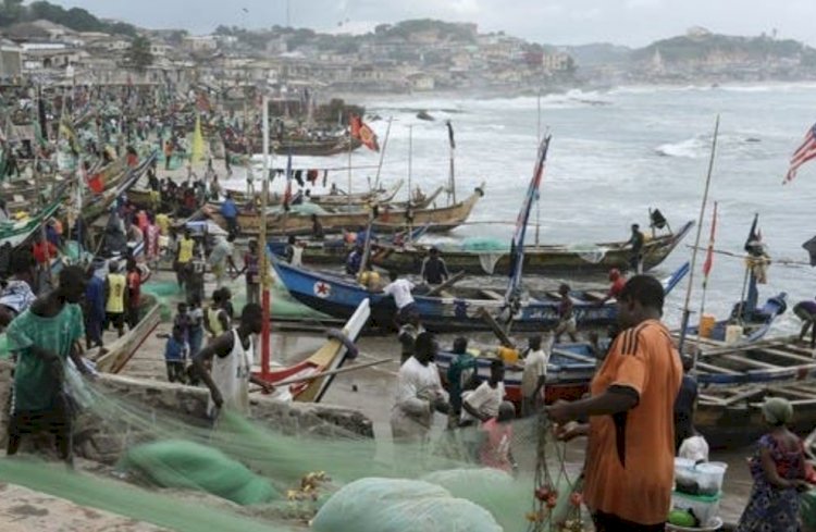 NPP May Lose Over 2.7 Million votes in Coastal Communities - Secretary of National Canoe Fishermen Council