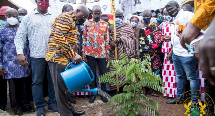 Akufo-Addo Inspects $16m Tomato Processing Factory In Berekum